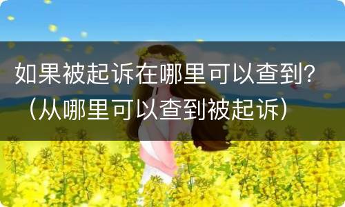 如果被起诉在哪里可以查到？（从哪里可以查到被起诉）