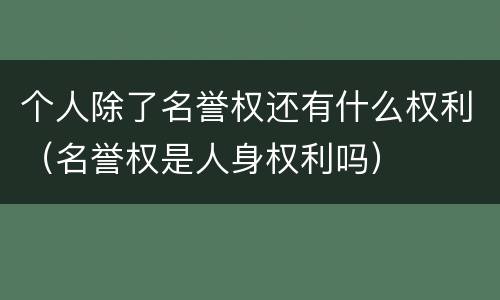 个人除了名誉权还有什么权利（名誉权是人身权利吗）