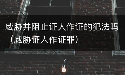 威胁并阻止证人作证的犯法吗（威胁证人作证罪）