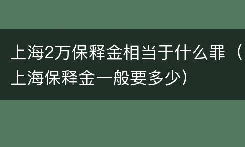上海2万保释金相当于什么罪（上海保释金一般要多少）