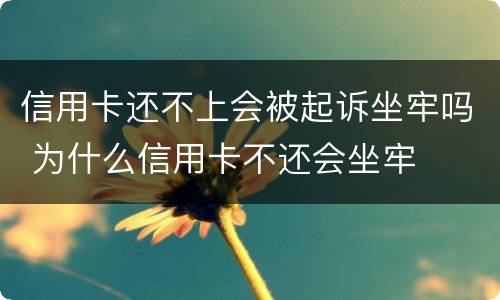 信用卡还不上会被起诉坐牢吗 为什么信用卡不还会坐牢