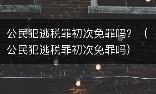 公民犯逃税罪初次免罪吗？（公民犯逃税罪初次免罪吗）