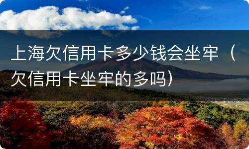 上海欠信用卡多少钱会坐牢（欠信用卡坐牢的多吗）