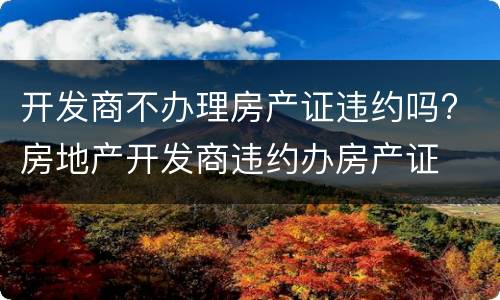 开发商不办理房产证违约吗? 房地产开发商违约办房产证