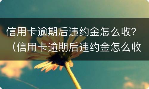 信用卡逾期后违约金怎么收？（信用卡逾期后违约金怎么收的）