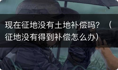 现在征地没有土地补偿吗？（征地没有得到补偿怎么办）