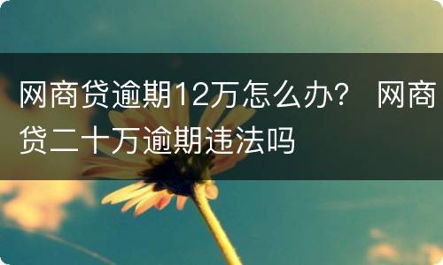 网商贷逾期12万怎么办？ 网商贷二十万逾期违法吗