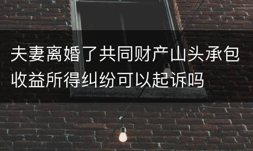 夫妻离婚了共同财产山头承包收益所得纠纷可以起诉吗