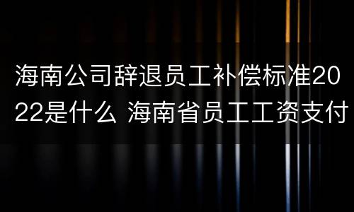 海南公司辞退员工补偿标准2022是什么 海南省员工工资支付条例
