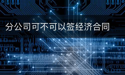 分公司可不可以签经济合同
