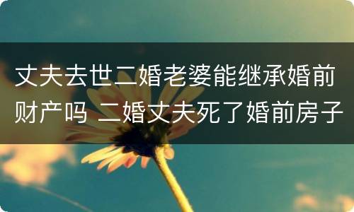 丈夫去世二婚老婆能继承婚前财产吗 二婚丈夫死了婚前房子归谁