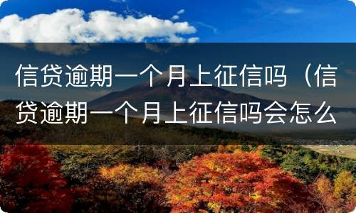 信贷逾期一个月上征信吗（信贷逾期一个月上征信吗会怎么样）