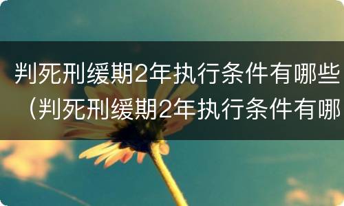 判死刑缓期2年执行条件有哪些（判死刑缓期2年执行条件有哪些呢）