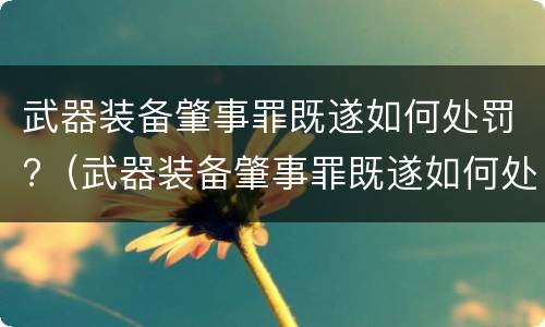 武器装备肇事罪既遂如何处罚?（武器装备肇事罪既遂如何处罚）