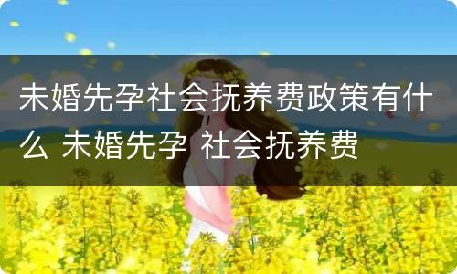未婚先孕社会抚养费政策有什么 未婚先孕 社会抚养费