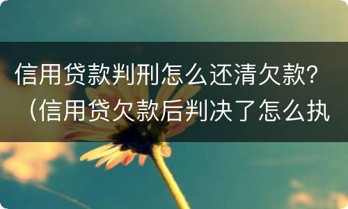 信用贷款判刑怎么还清欠款？（信用贷欠款后判决了怎么执行）