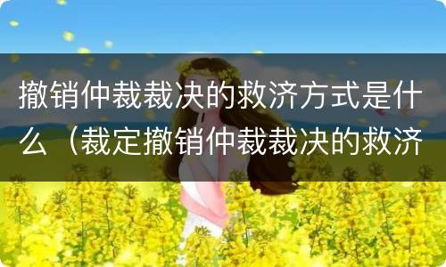 撤销仲裁裁决的救济方式是什么（裁定撤销仲裁裁决的救济）