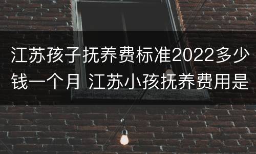 江苏孩子抚养费标准2022多少钱一个月 江苏小孩抚养费用是多少