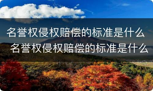 名誉权侵权赔偿的标准是什么 名誉权侵权赔偿的标准是什么样的