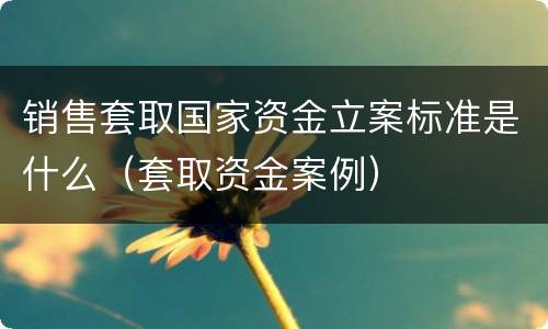 销售套取国家资金立案标准是什么（套取资金案例）