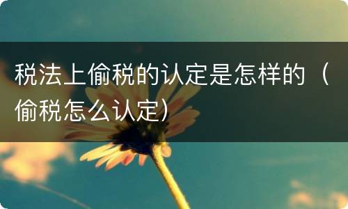 税法上偷税的认定是怎样的（偷税怎么认定）