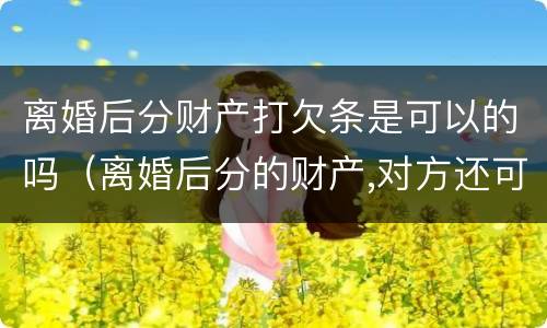 离婚后分财产打欠条是可以的吗（离婚后分的财产,对方还可能要回吗）