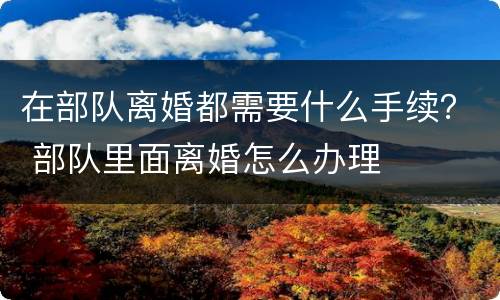 在部队离婚都需要什么手续？ 部队里面离婚怎么办理