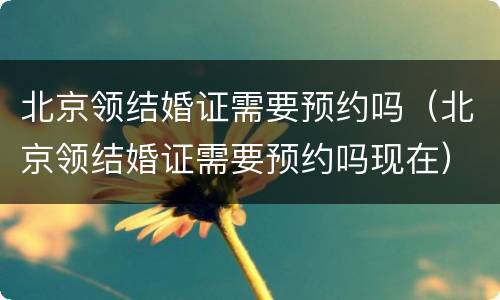 北京领结婚证需要预约吗（北京领结婚证需要预约吗现在）