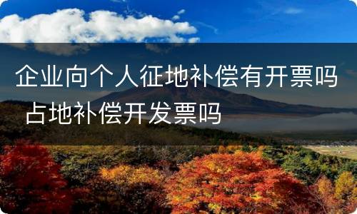企业向个人征地补偿有开票吗 占地补偿开发票吗