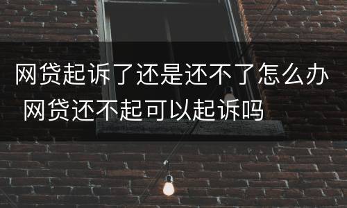 网贷起诉了还是还不了怎么办 网贷还不起可以起诉吗