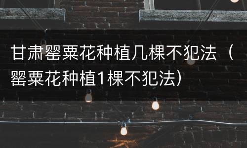 甘肃罂粟花种植几棵不犯法（罂粟花种植1棵不犯法）