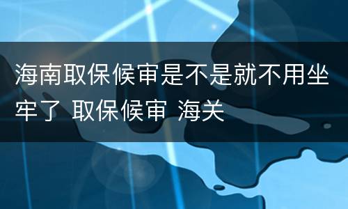 海南取保候审是不是就不用坐牢了 取保候审 海关