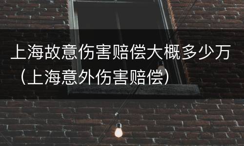 上海故意伤害赔偿大概多少万（上海意外伤害赔偿）