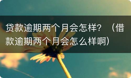 贷款逾期两个月会怎样？（借款逾期两个月会怎么样啊）