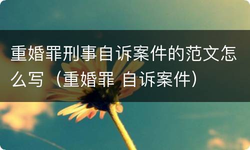 重婚罪刑事自诉案件的范文怎么写（重婚罪 自诉案件）