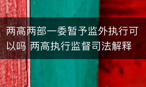 两高两部一委暂予监外执行可以吗 两高执行监督司法解释