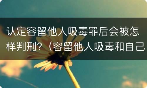 认定容留他人吸毒罪后会被怎样判刑?（容留他人吸毒和自己吸毒罪判多久）