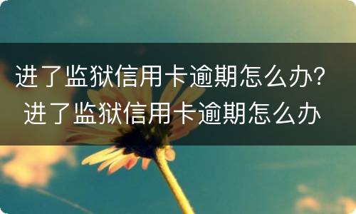 进了监狱信用卡逾期怎么办？ 进了监狱信用卡逾期怎么办