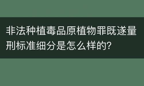 非法种植毒品原植物罪既遂量刑标准细分是怎么样的？