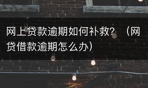 网上贷款逾期如何补救？（网贷借款逾期怎么办）