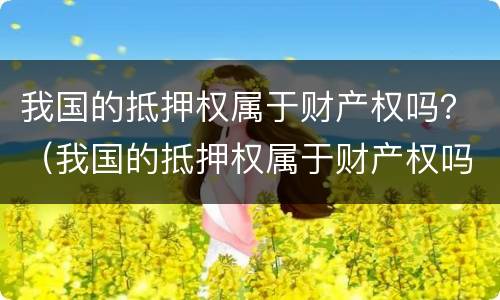 我国的抵押权属于财产权吗？（我国的抵押权属于财产权吗为什么）
