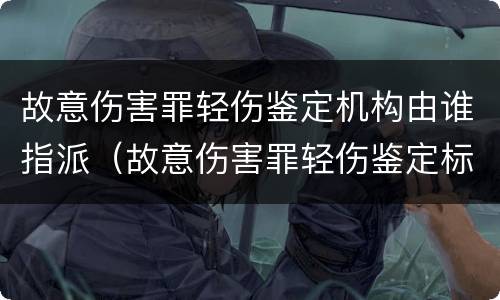 故意伤害罪轻伤鉴定机构由谁指派（故意伤害罪轻伤鉴定标准是什么）