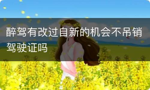 醉驾有改过自新的机会不吊销驾驶证吗