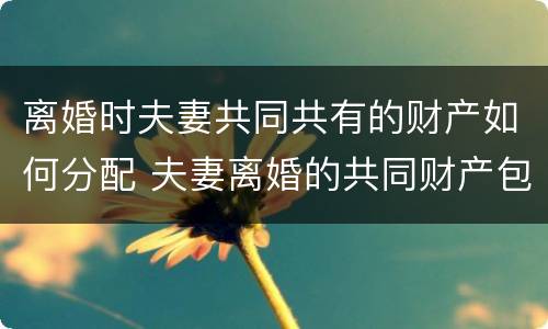 离婚时夫妻共同共有的财产如何分配 夫妻离婚的共同财产包括哪些