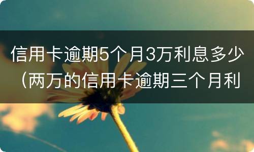 信用卡逾期5个月3万利息多少（两万的信用卡逾期三个月利息多少?）