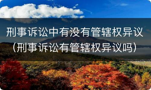 刑事诉讼中有没有管辖权异议（刑事诉讼有管辖权异议吗）