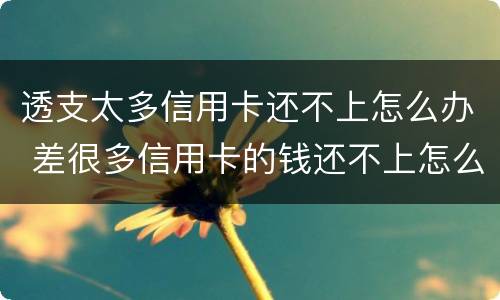 透支太多信用卡还不上怎么办 差很多信用卡的钱还不上怎么办