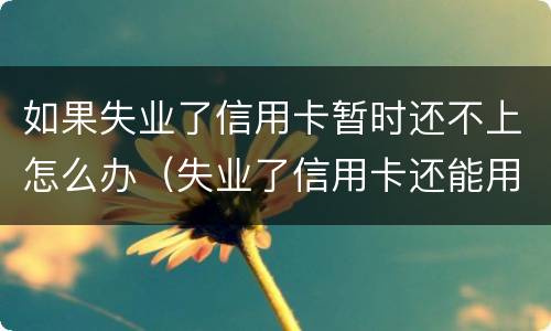 如果失业了信用卡暂时还不上怎么办（失业了信用卡还能用吗）