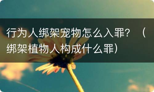 行为人绑架宠物怎么入罪？（绑架植物人构成什么罪）