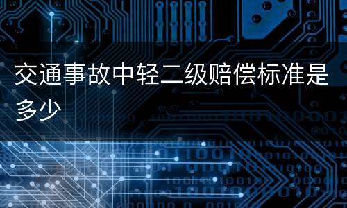 交通事故中轻二级赔偿标准是多少